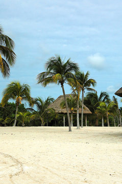 la cabane au fond de la plage