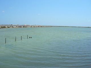 salinas