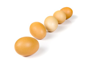 eggs on white background