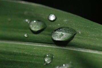 water droplet