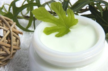 face cream with fig leaf