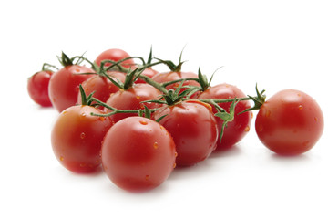 tomatoes