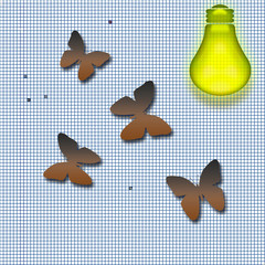 moths attraction