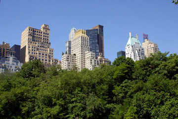two type of vegetation © CarloSanchezPereyra