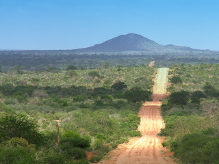 la strada del safari