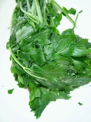 persil plat
