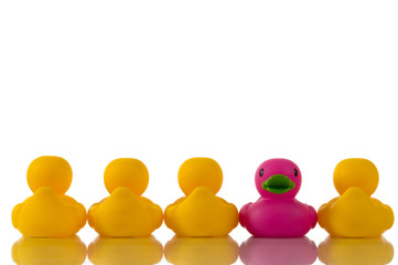 pink, purple rubber duck with yellow ducks