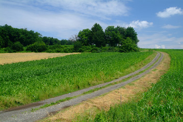 feldweg