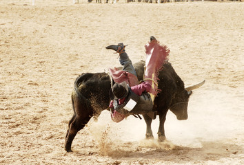bull riding 4