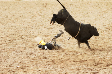 bull riding 6