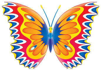 butterfly