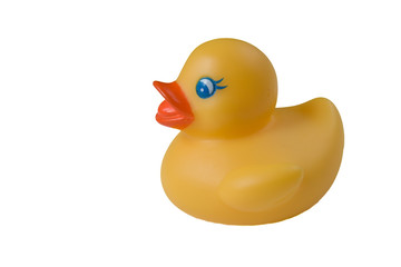 rubber duck