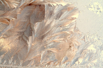 winter patterns