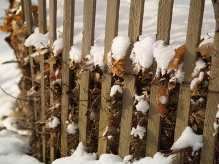 winter with snow in park 
