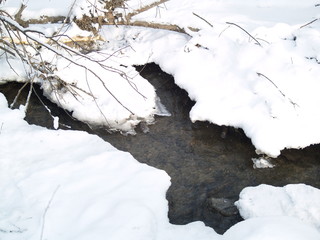 winter with snow in park 
