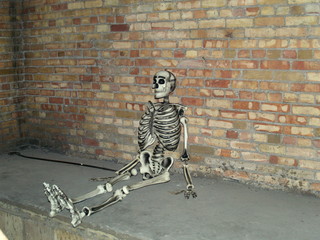 skeleton resting