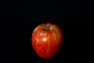 gala apple