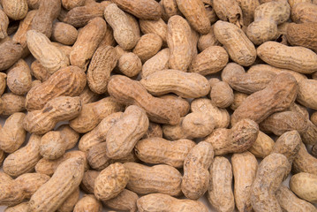 peanuts in shells