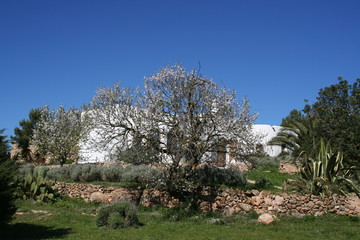 finca auf ibiza