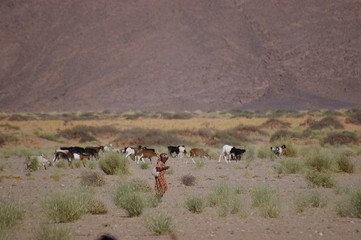 Fototapeta na wymiar bergère et son troupeau