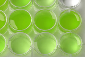 mdg-lab-05