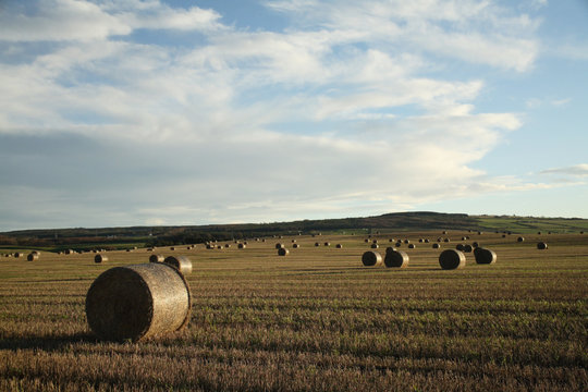 รูปภาพBaling – เลือกดูภาพถ่ายสต็อก เวกเตอร์ และวิดีโอ246,054 | Adobe Stock