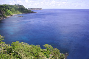 dolphin bay