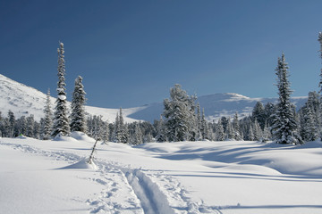 winter forest in mountains, ski-track