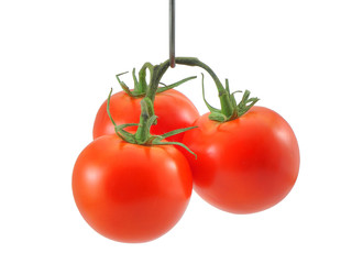tomatoes