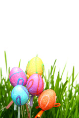 colorful easter eggs