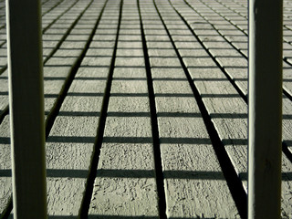 lines and shadows