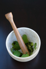 mortar and pestal mint