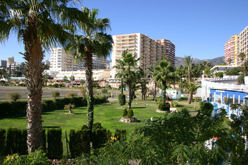 Fototapeta premium oasis on the beach
