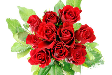 red roses