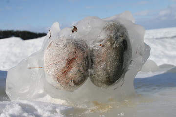 rocks frozen in ice