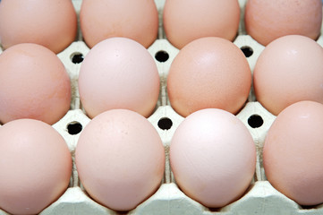 eggs