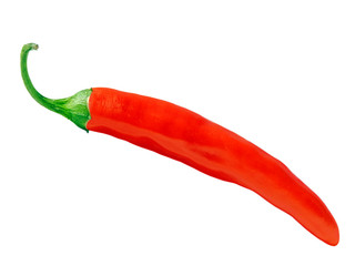 red hot chili pepper