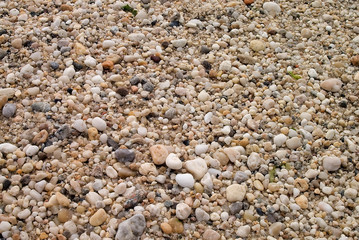 atlantic beach stones