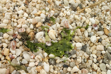 atlantic beach stones
