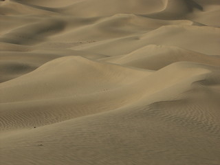 wüste