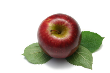 single red apple