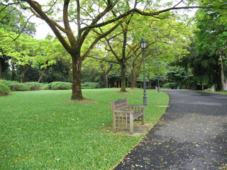 Obraz premium lone bench in the park