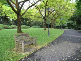 Zelfklevend Fotobehang lone bench in park © Pei Lin