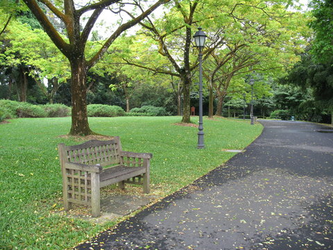 lone bench in park