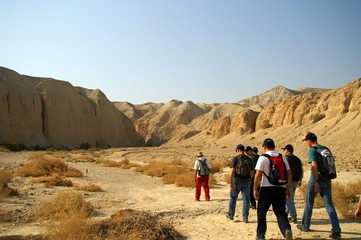 walkers in a desert