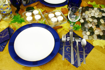 ready to start a dinner