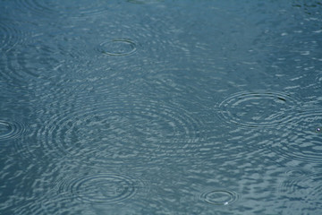 raindrops on a lake #2