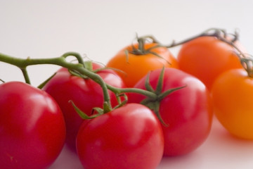 organic tomatoes