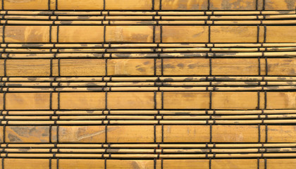 bamboo close-up texture