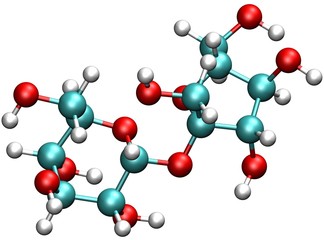 sucrose molecule